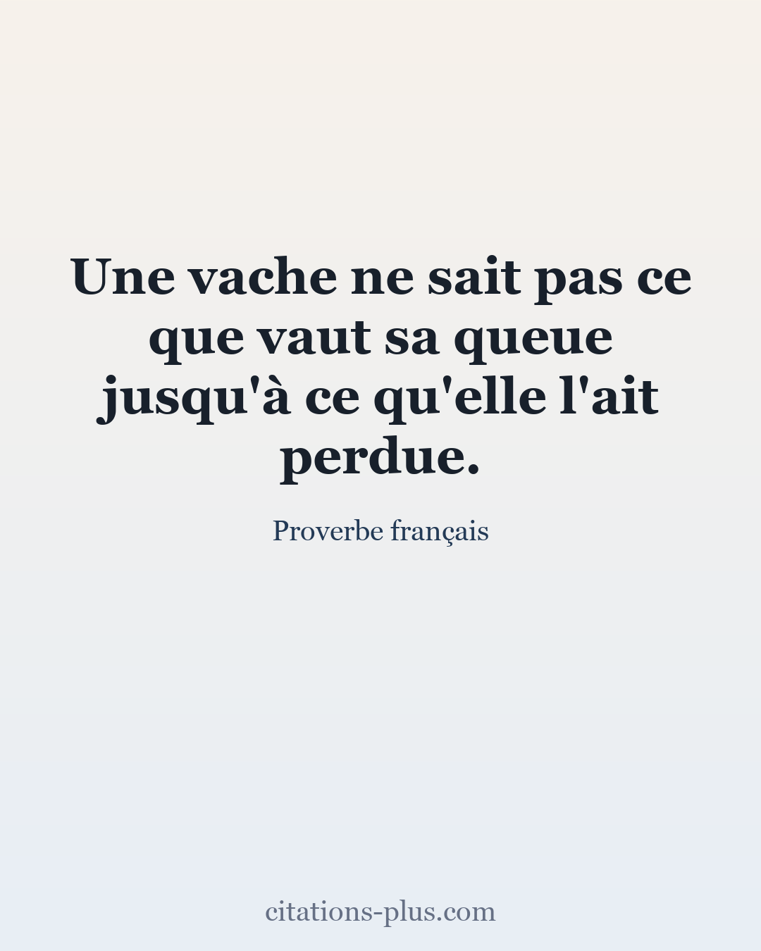 Carte Premium clair — Proverbe français