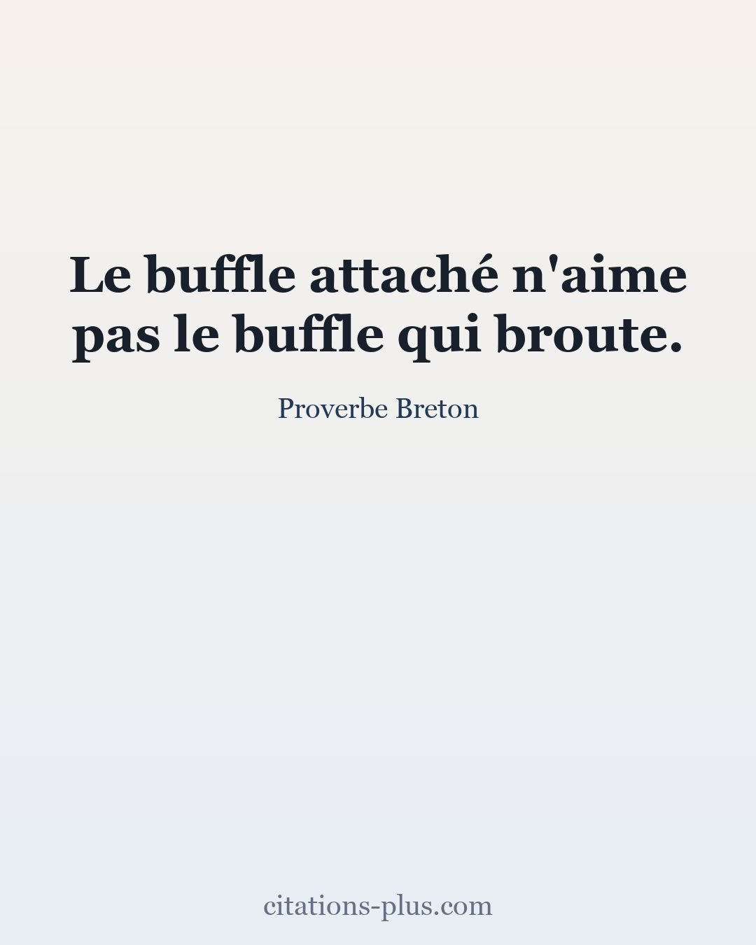 Carte Premium clair — Proverbe Breton