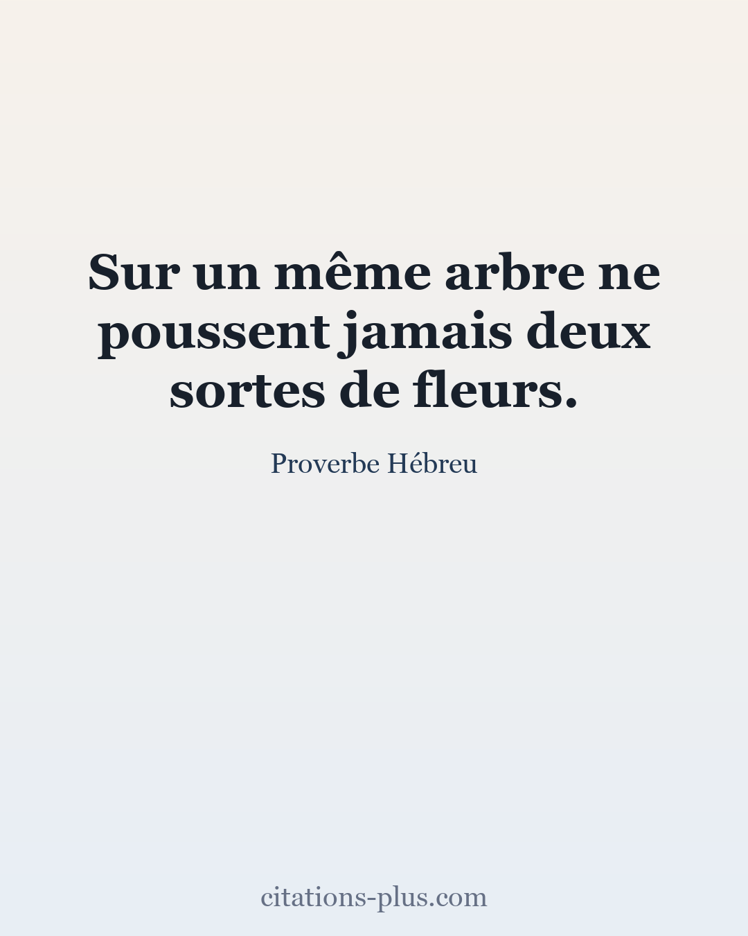 Carte Premium clair — Proverbe Hébreu
