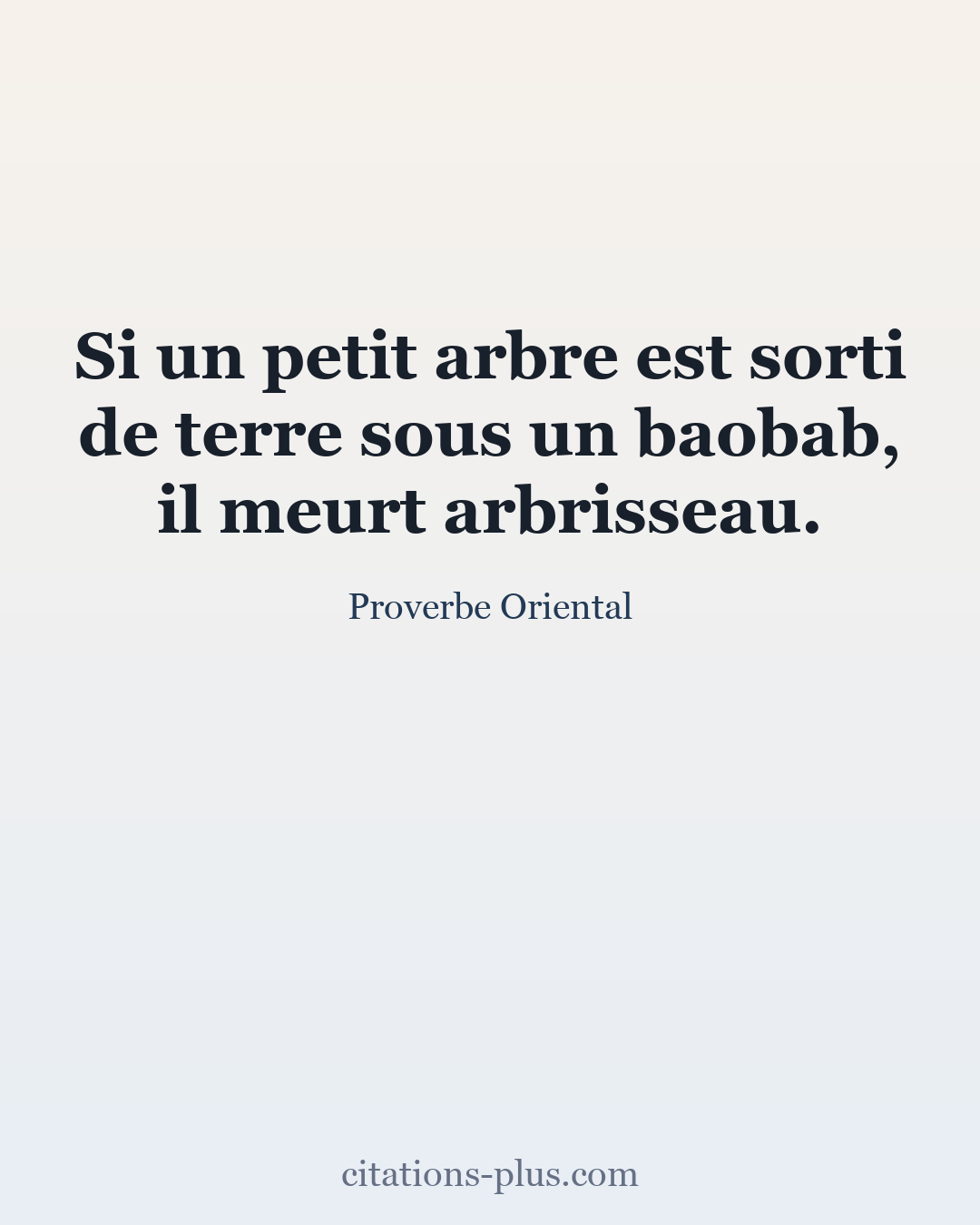 Carte Premium clair — Proverbes orientaux