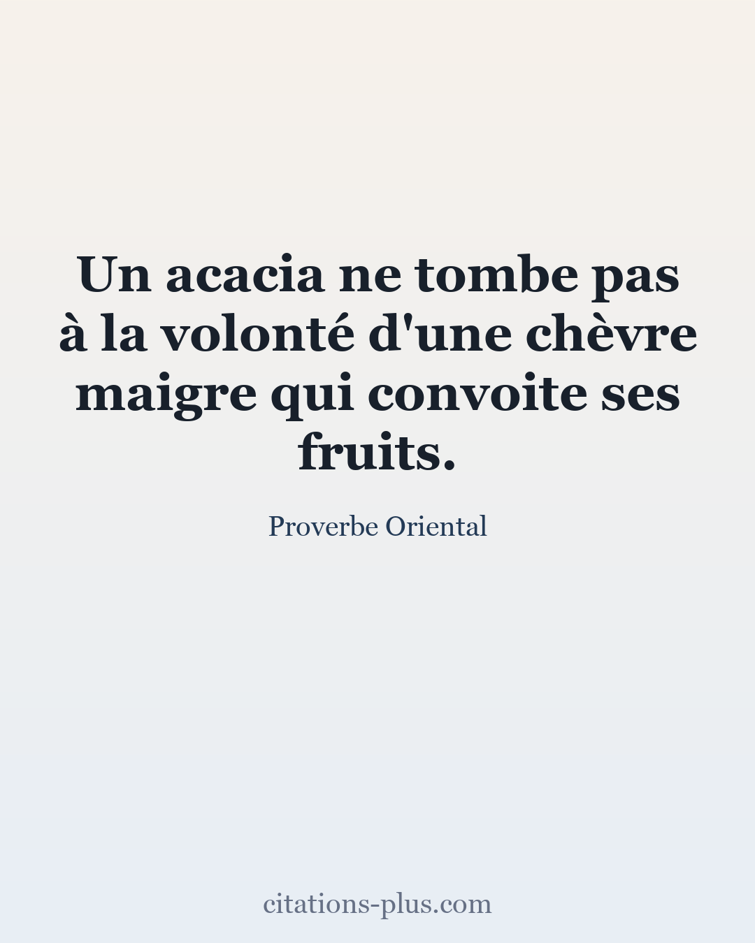 Carte Premium clair — Proverbes orientaux