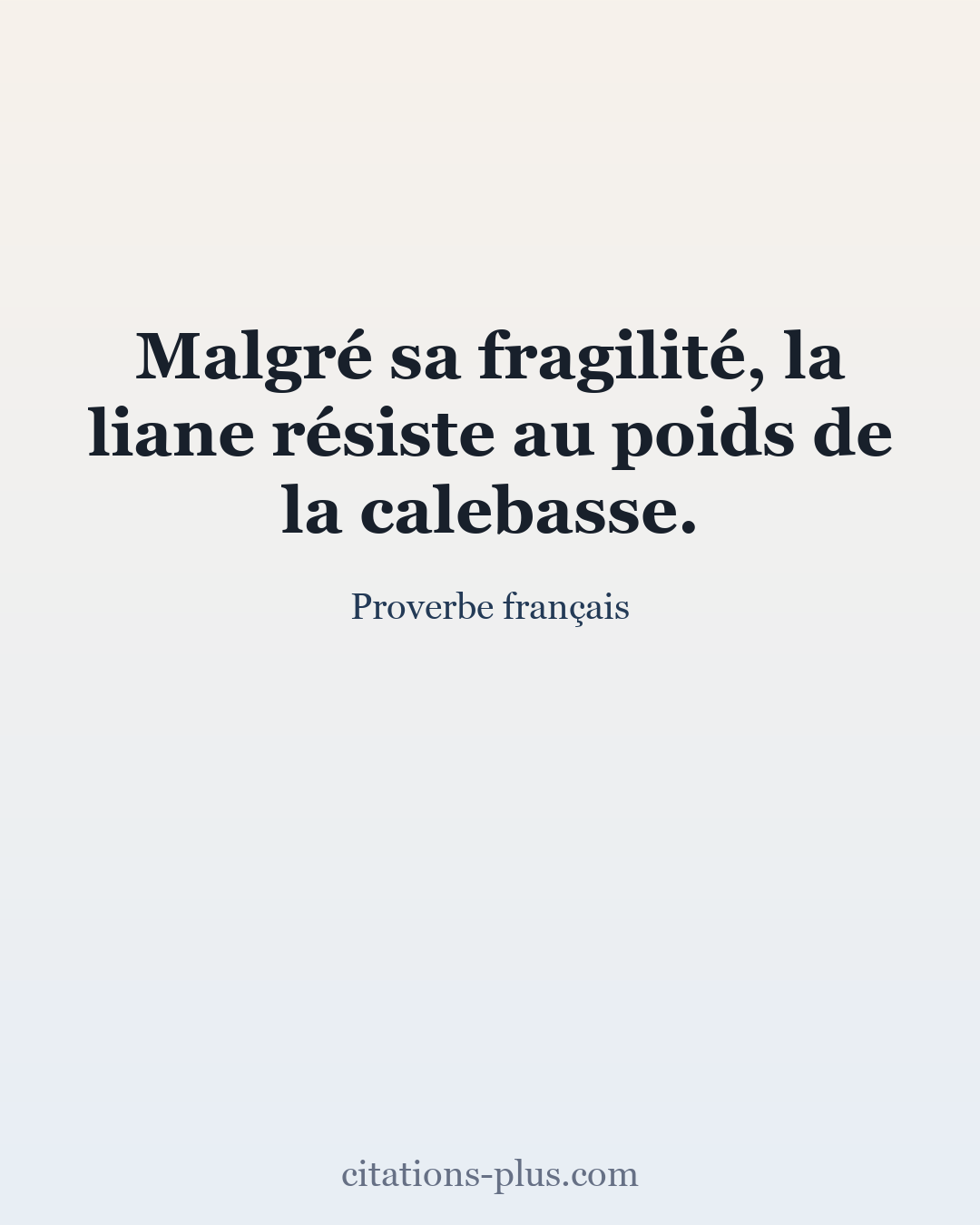 Carte Premium clair — Proverbe français