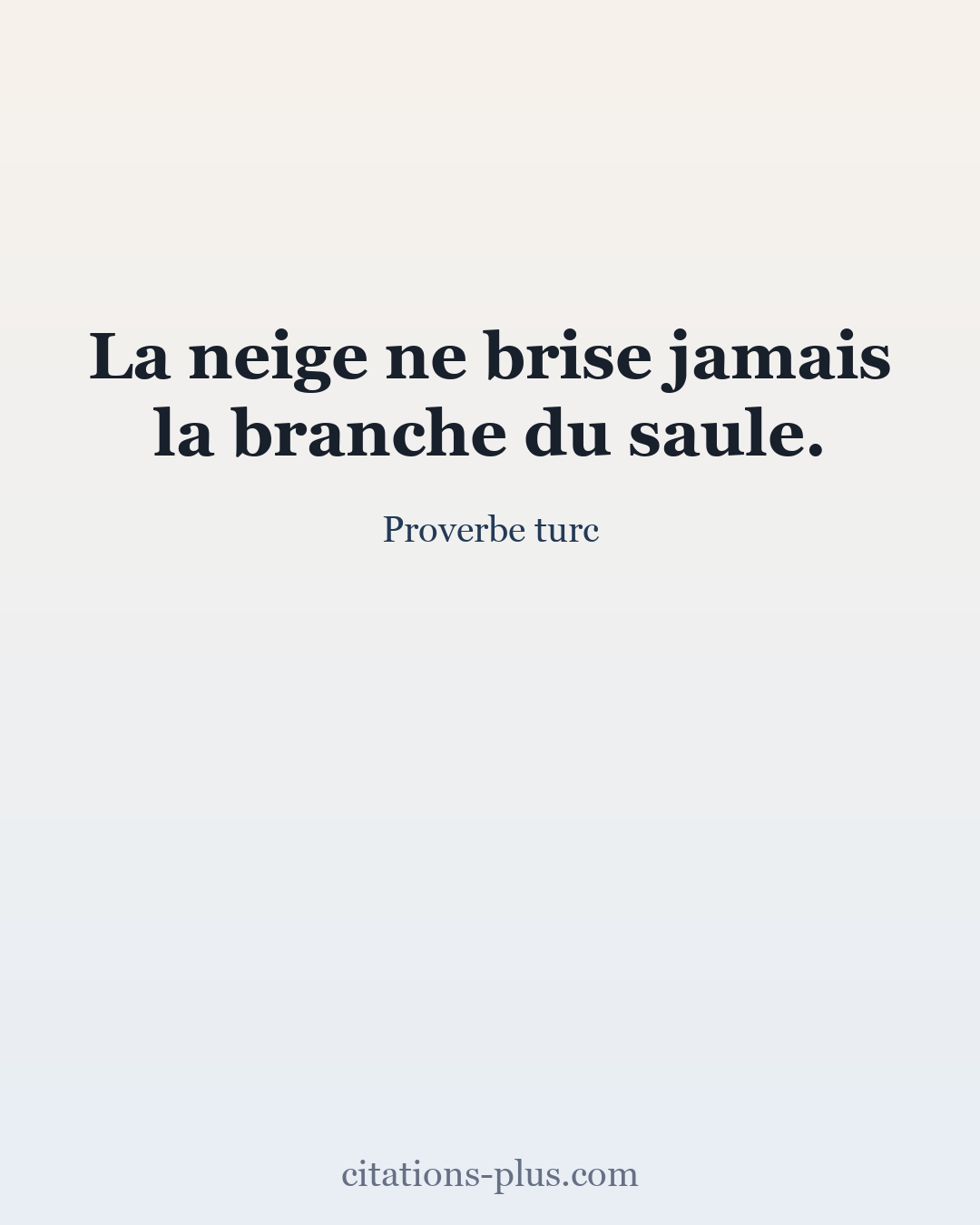 Carte Premium clair — Proverbe turc