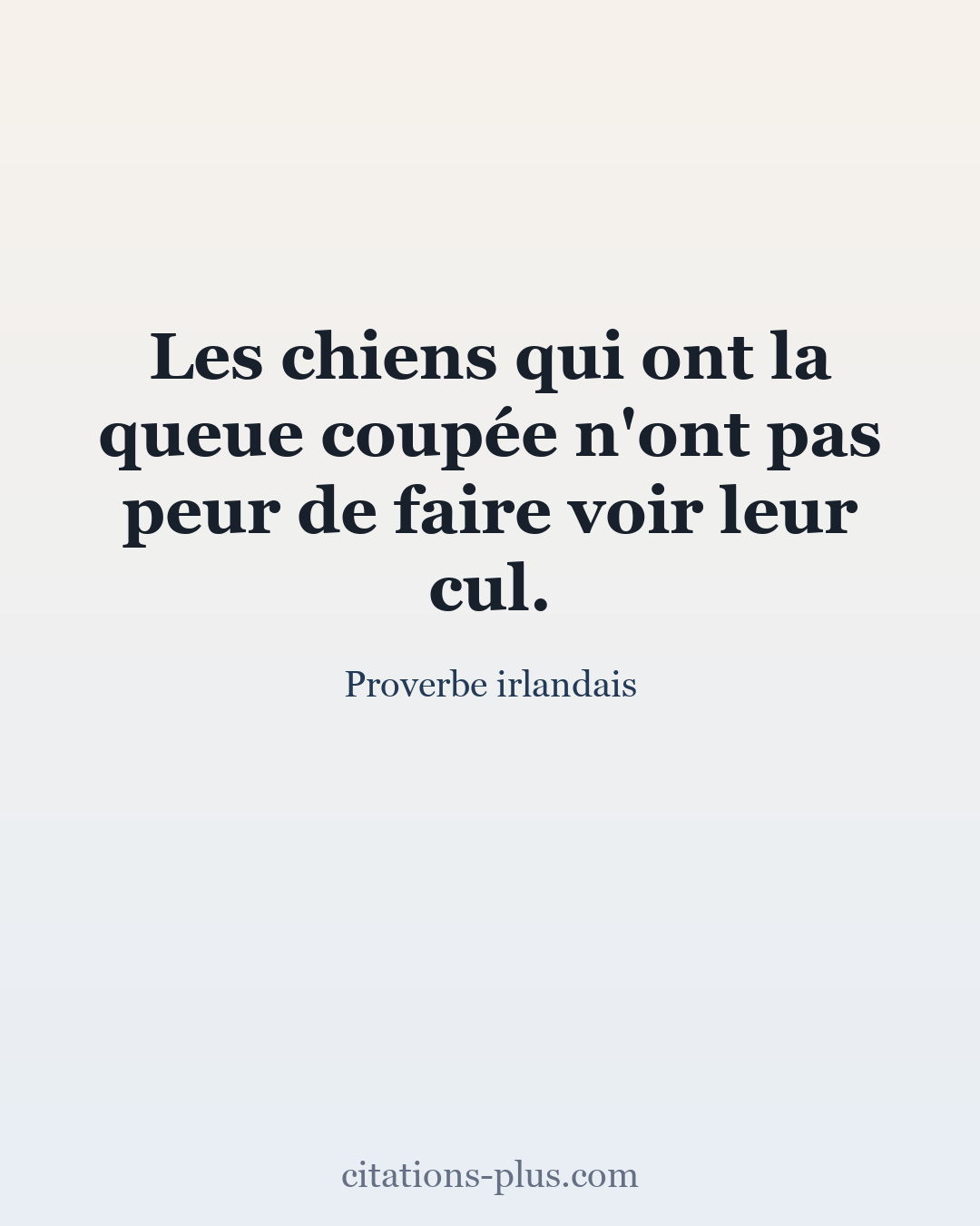 Carte Premium clair — Proverbe irlandais
