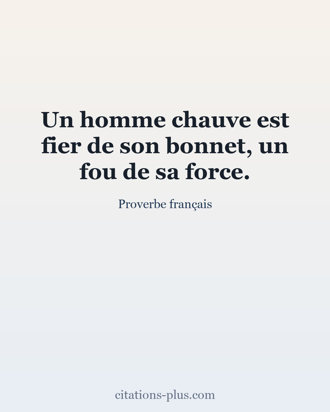 Carte Premium clair — Proverbe français