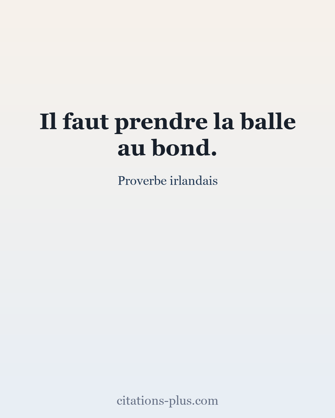 Carte Premium clair — Proverbe irlandais