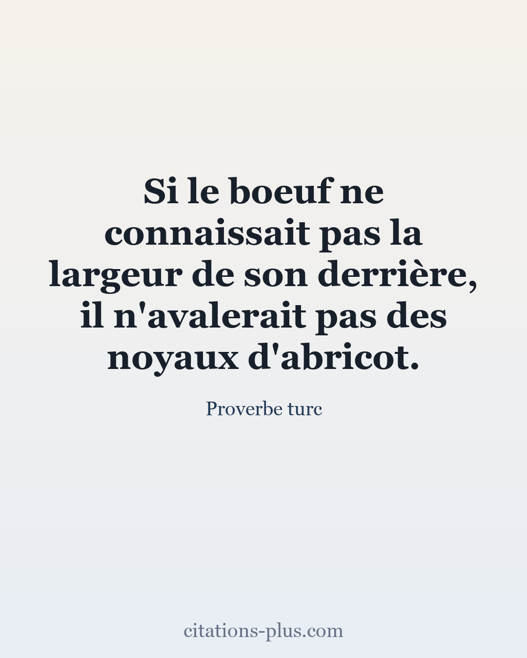 Carte Premium clair — Proverbe turc