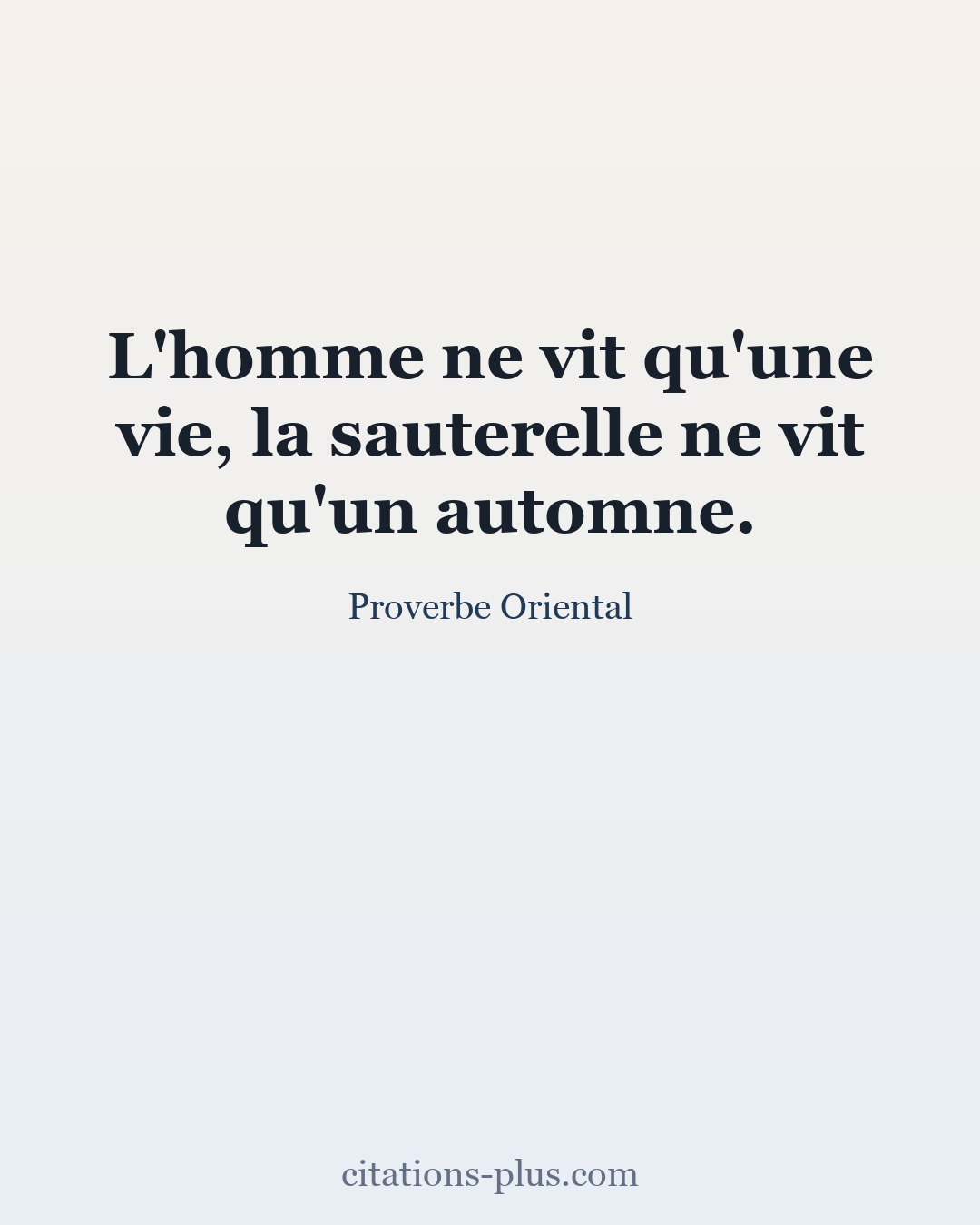 Carte Premium clair — Proverbes orientaux