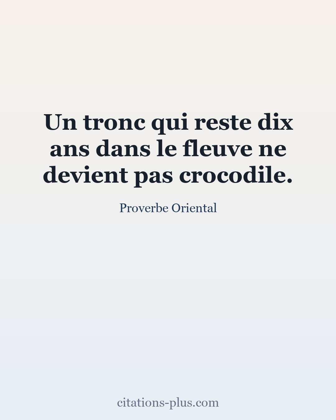 Carte Premium clair — Proverbes orientaux