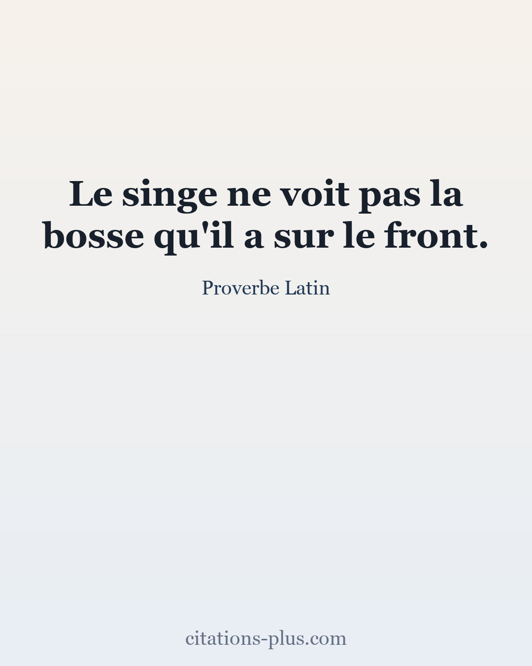 Carte Premium clair — Proverbe Latin