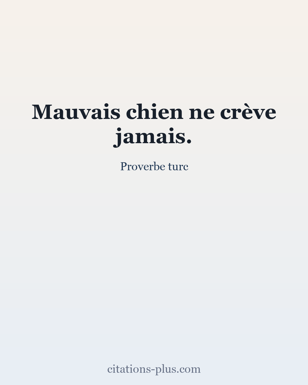 Carte Premium clair — Proverbe turc