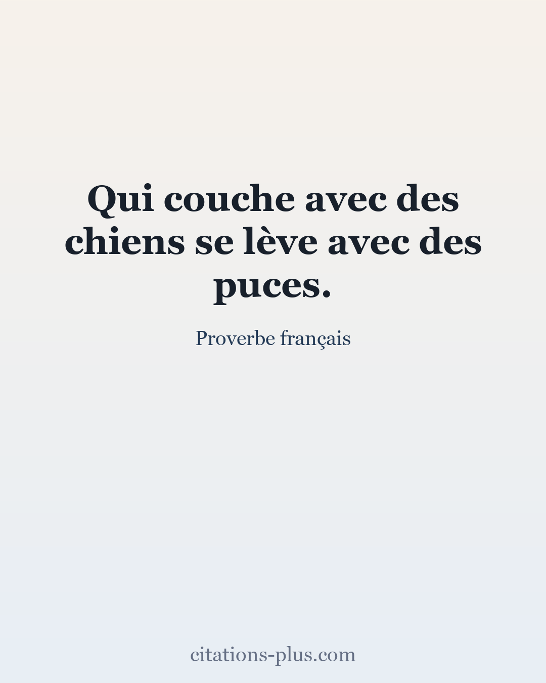 Carte Premium clair — Proverbe français