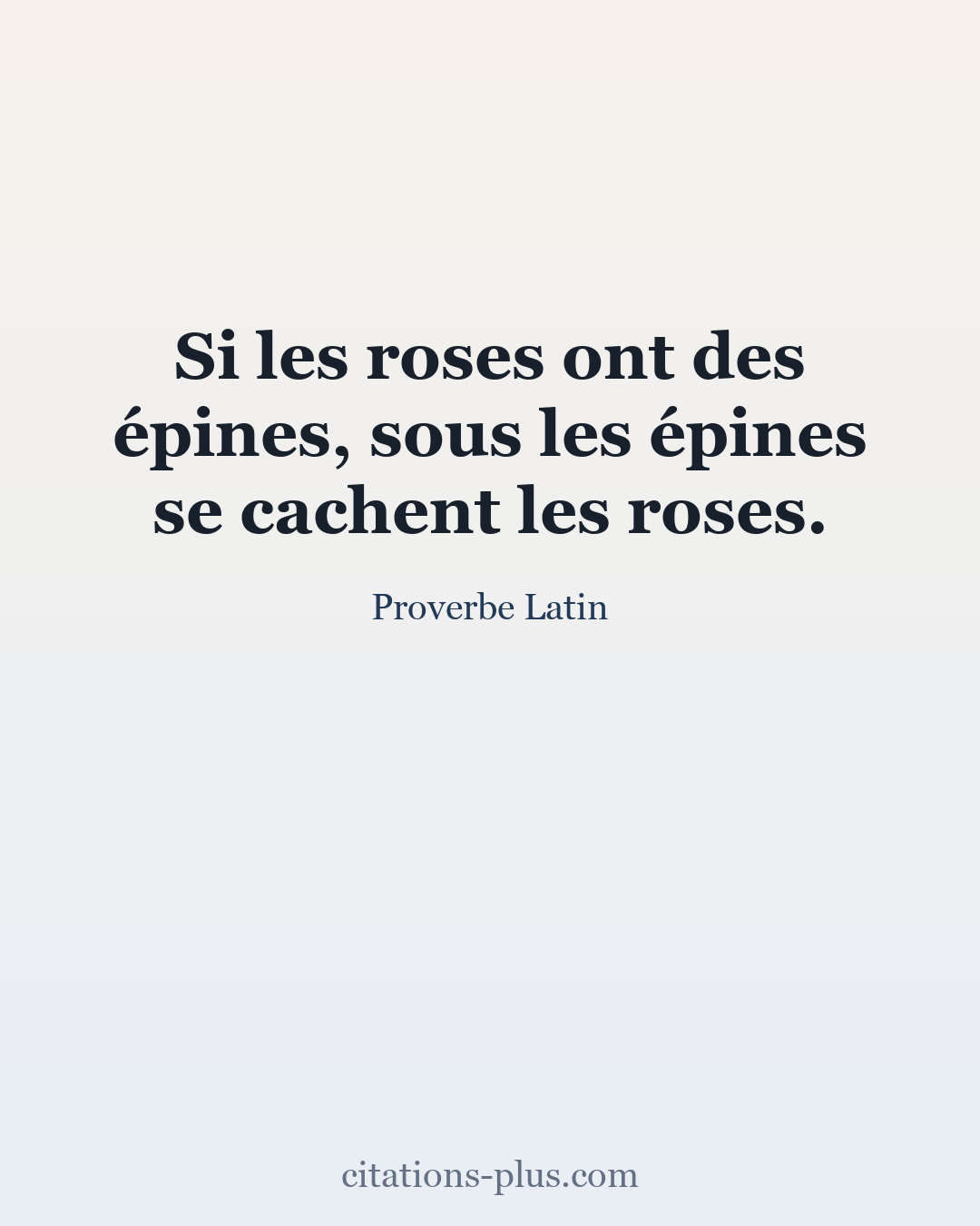 Carte Premium clair — Proverbe Latin