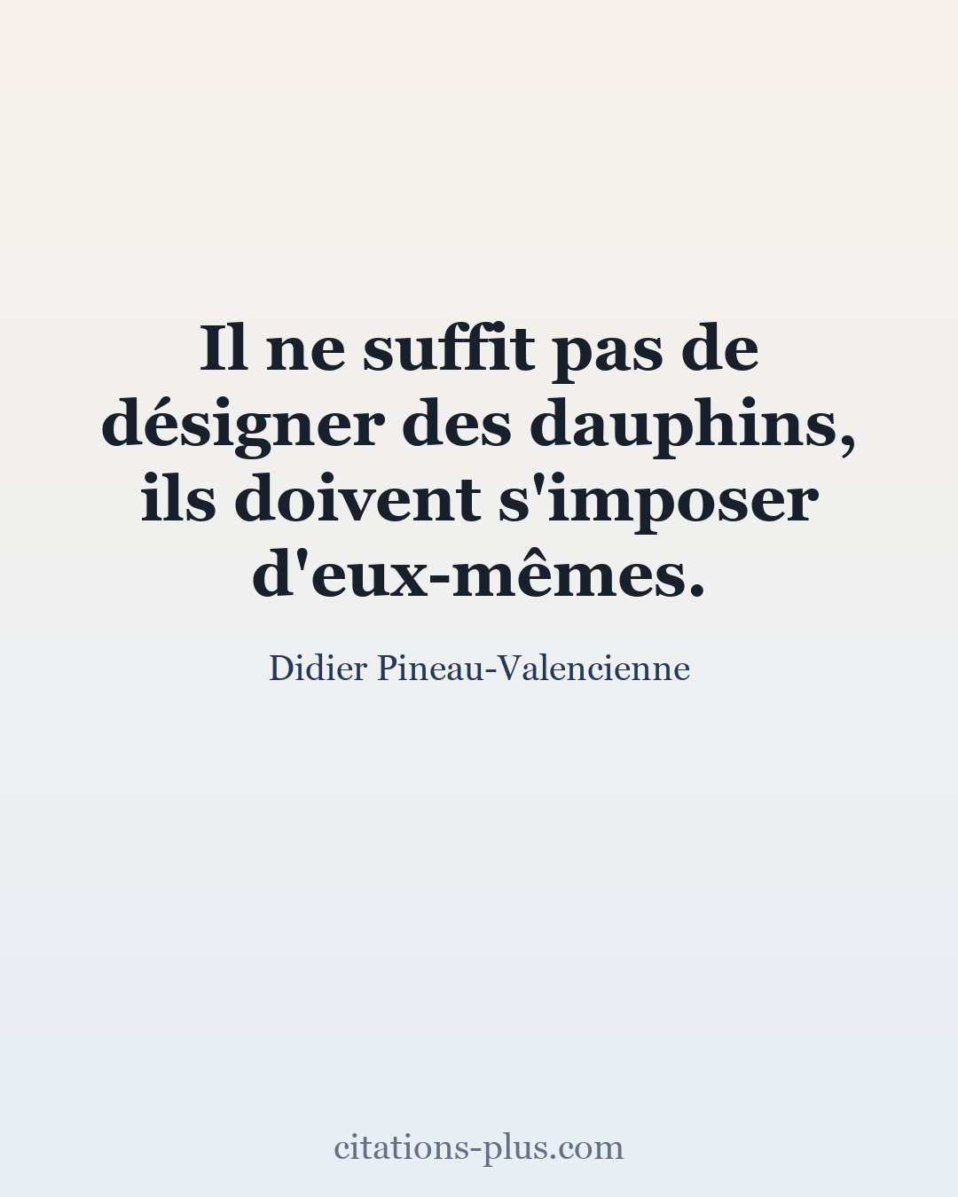 Carte Premium clair — Didier Pineau-Valencienne