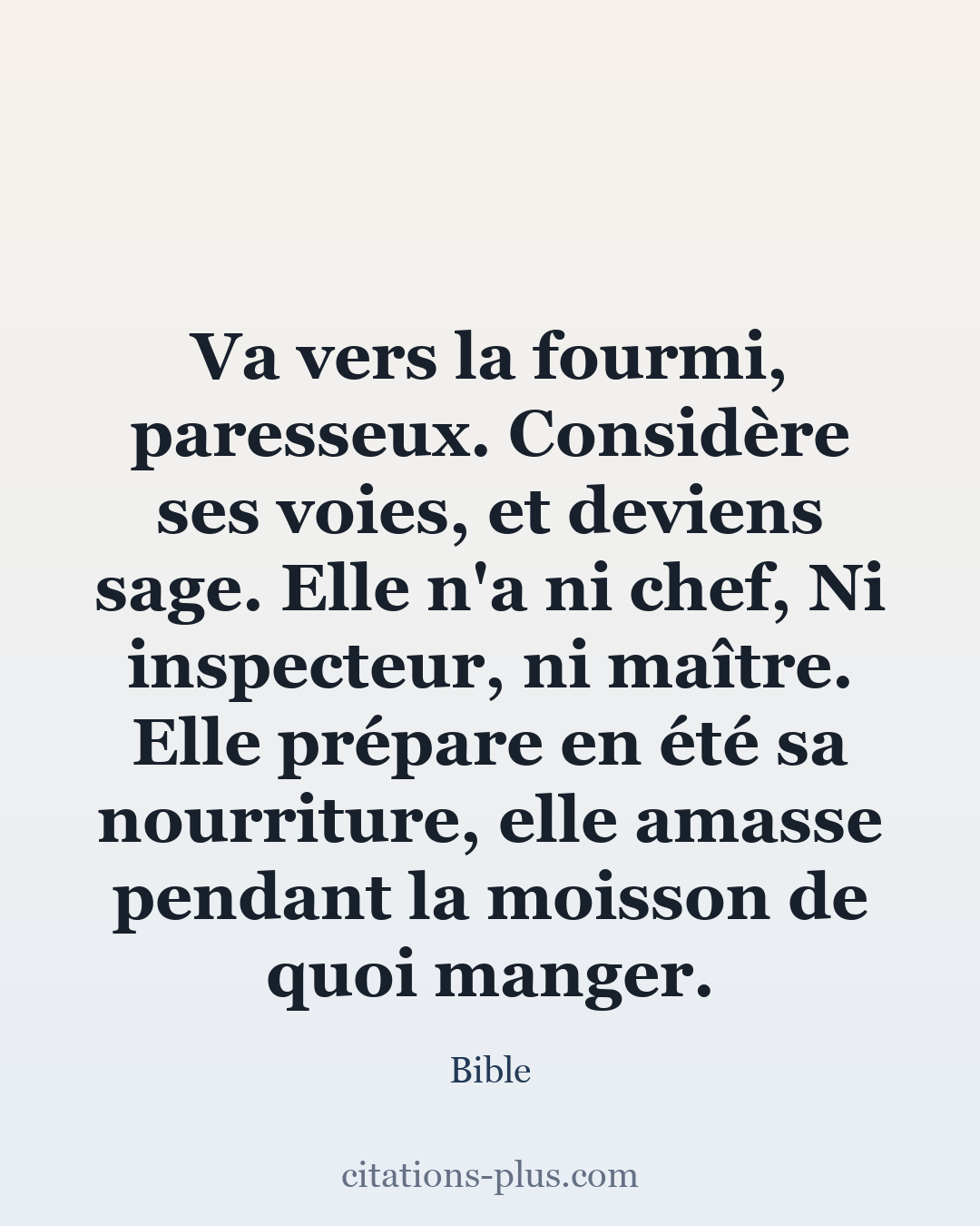 Carte Premium clair — Bible