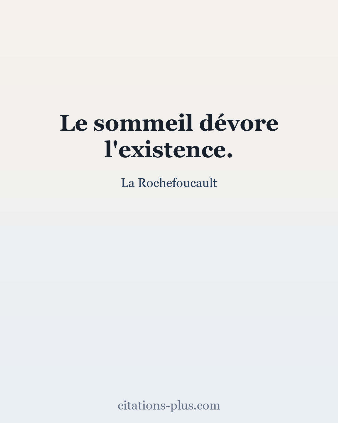 Carte Premium clair — La Rochefoucault