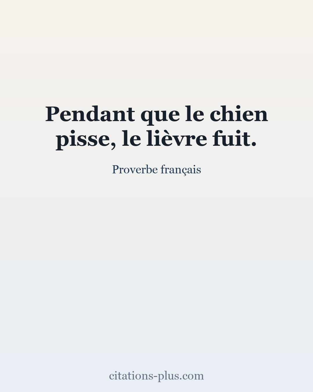 Carte Premium clair — Proverbe français