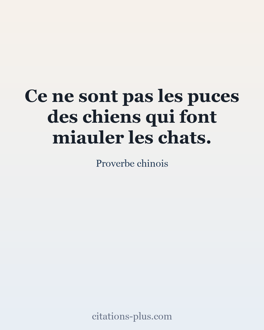 Carte Premium clair — Proverbe chinois