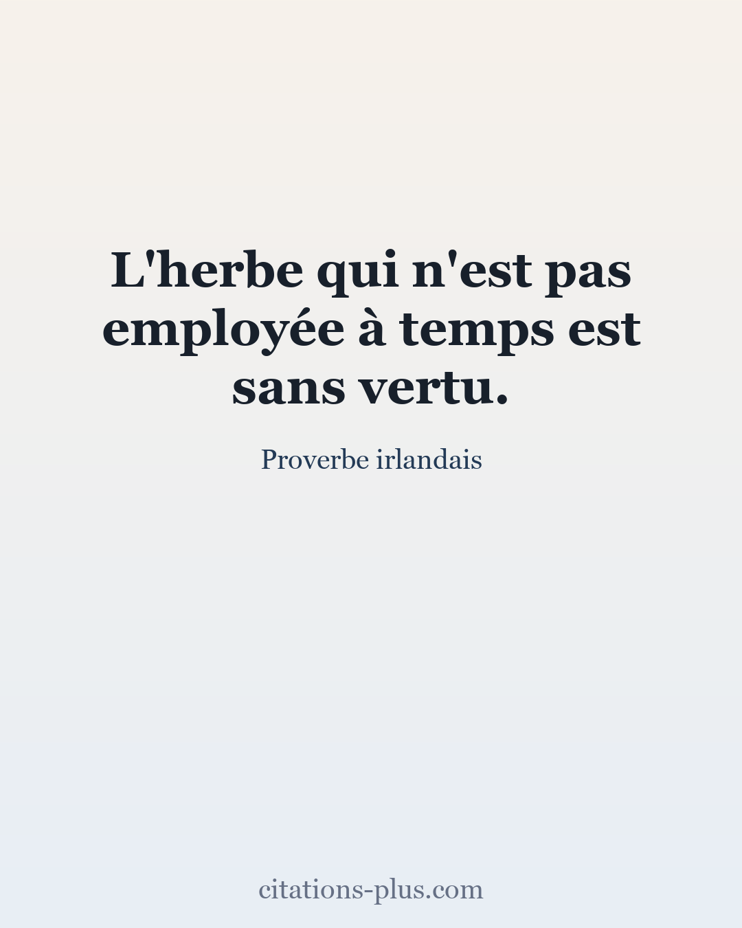 Carte Premium clair — Proverbe irlandais
