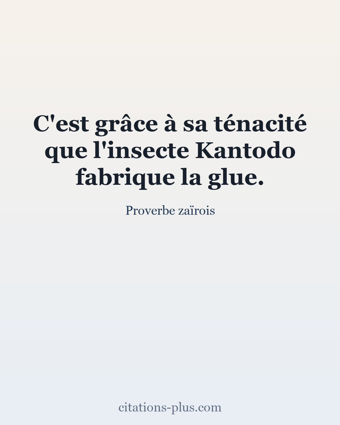 Carte Premium clair — Proverbe zaïrois