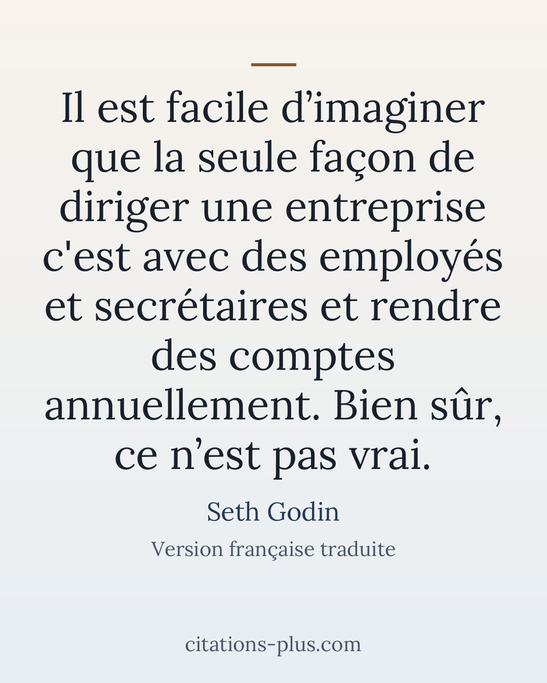 Carte Premium clair — Seth Godin