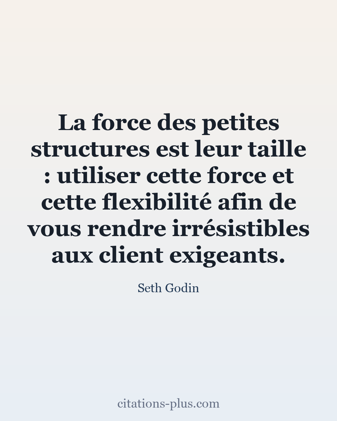 Carte Premium clair — Seth Godin