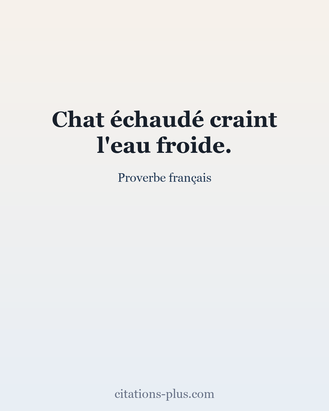 Carte Premium clair — Proverbe français