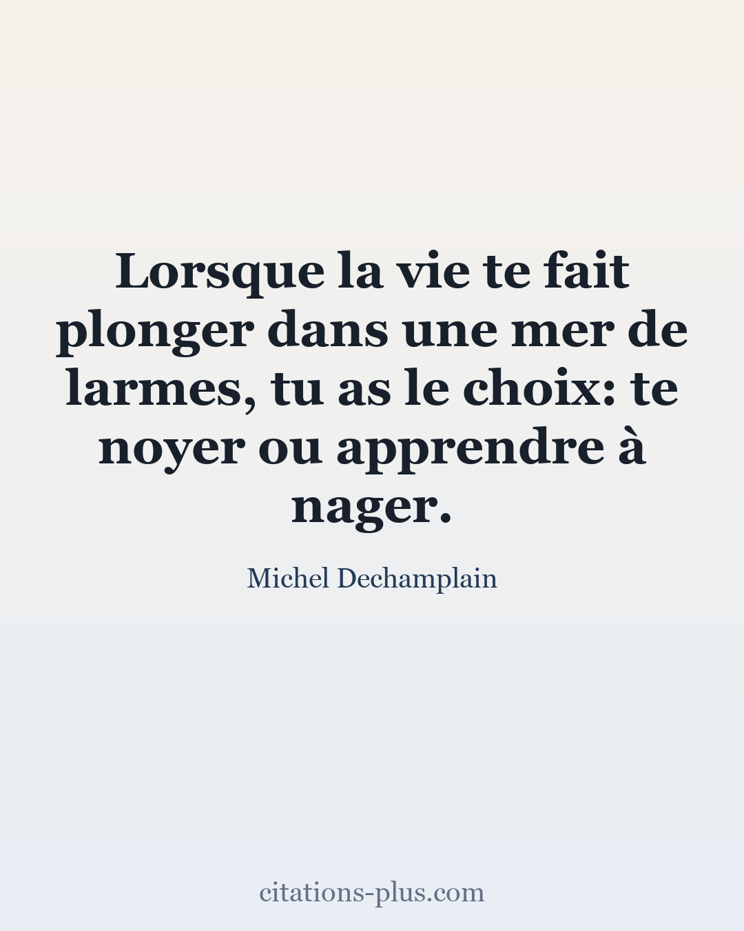 Carte Premium clair — Michel Dechamplain
