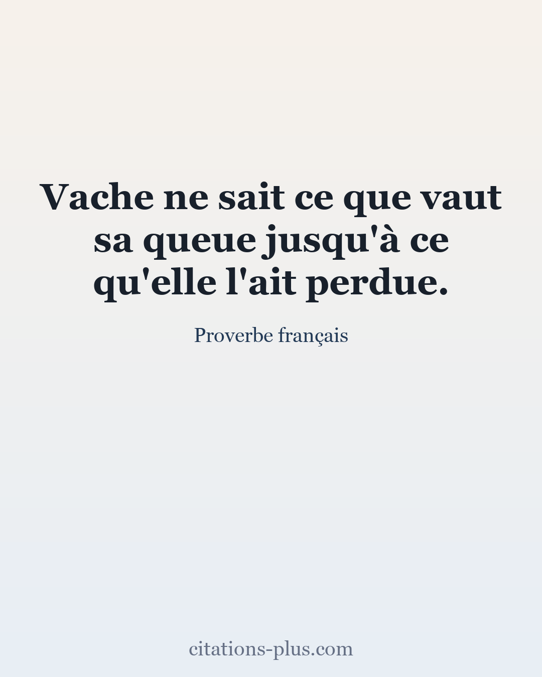 Carte Premium clair — Proverbe français