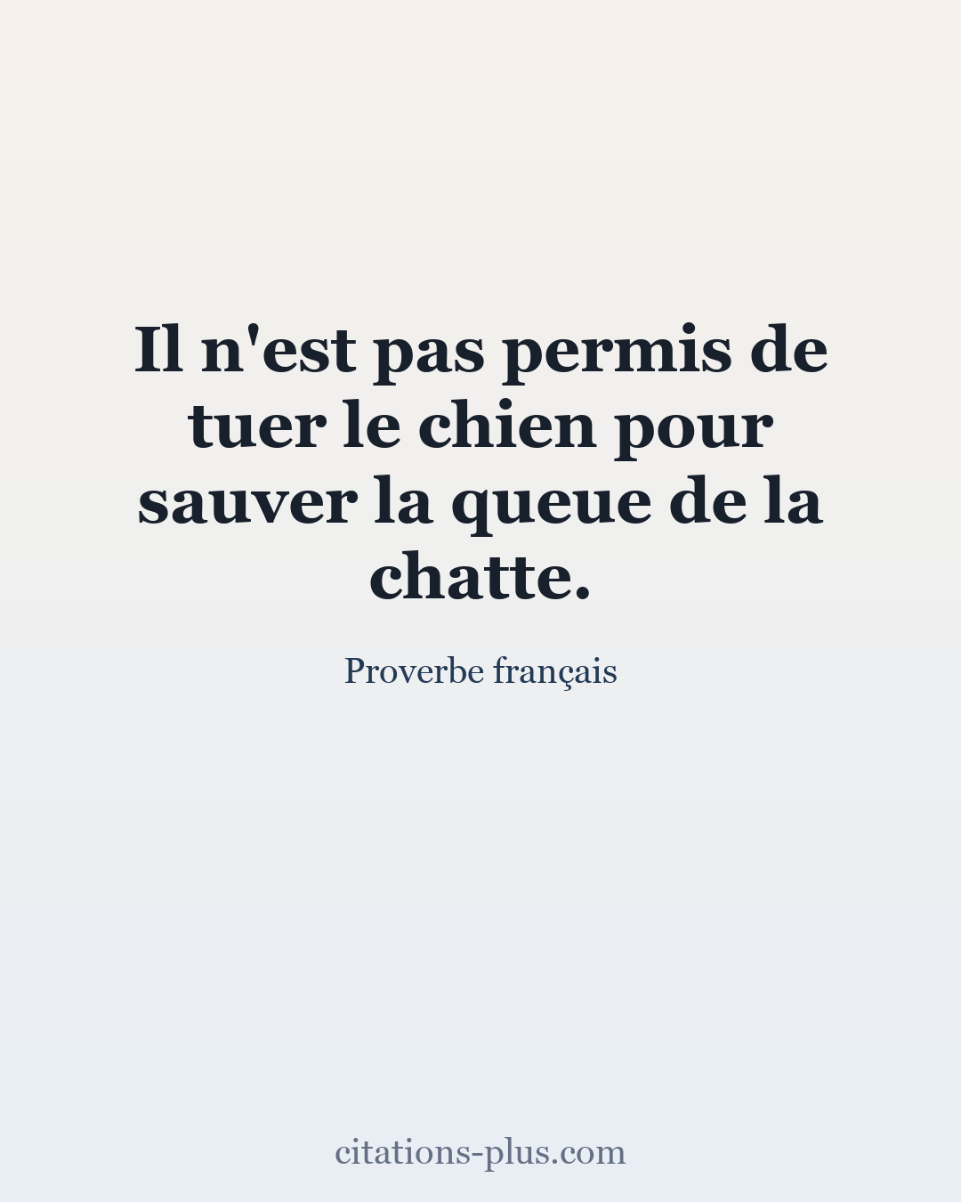 Carte Premium clair — Proverbe français