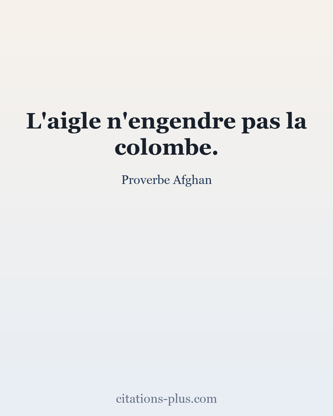 Carte Premium clair — Proverbe Afghan