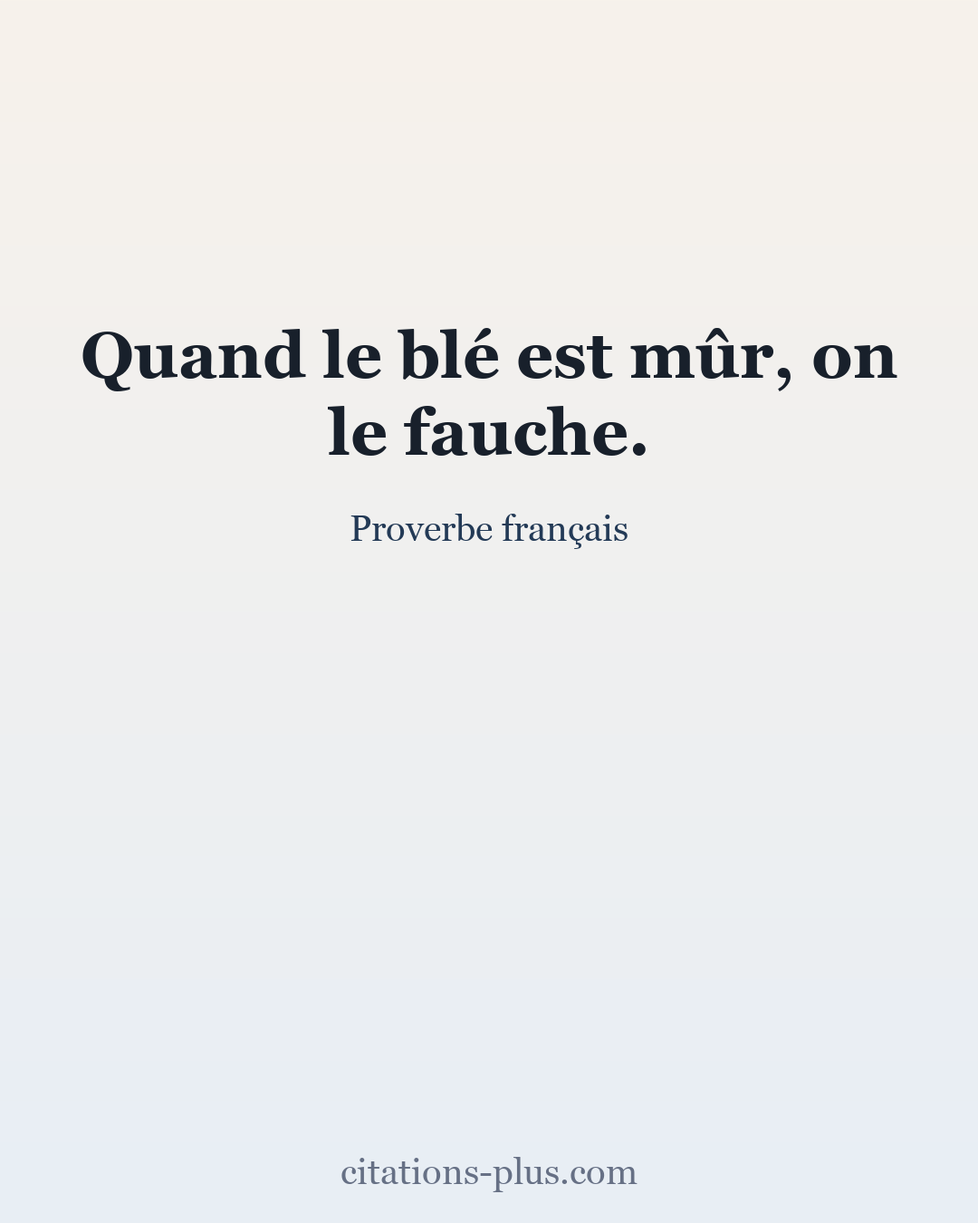 Carte Premium clair — Proverbe français